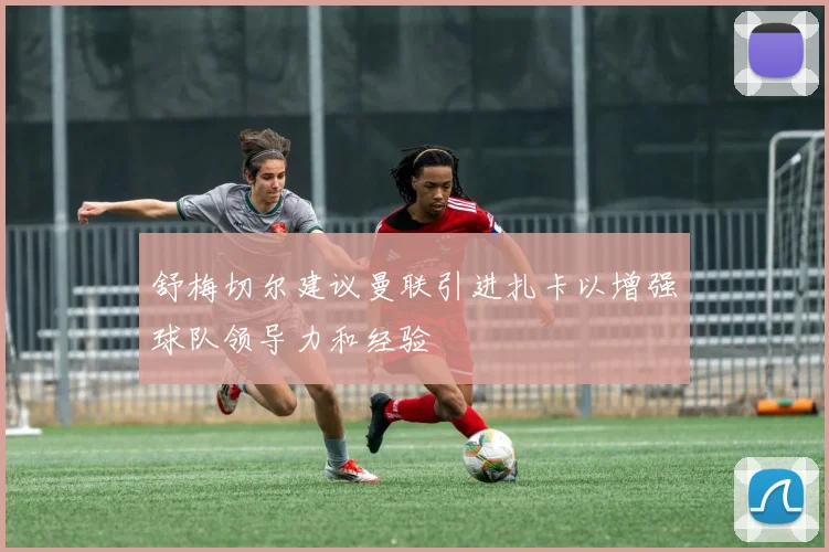 舒梅切尔建议曼联引进扎卡以增强球队领导力和经验