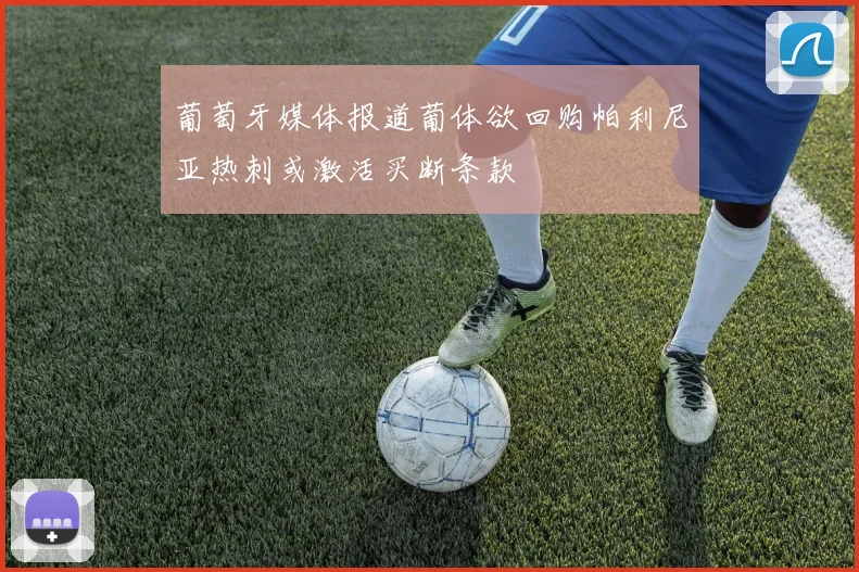 葡萄牙媒体报道葡体欲回购帕利尼亚热刺或激活买断条款